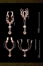 【2N】SM Nipple clamps + vaginal clamps