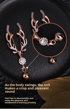 【2N】SM Nipple clamps + vaginal clamps