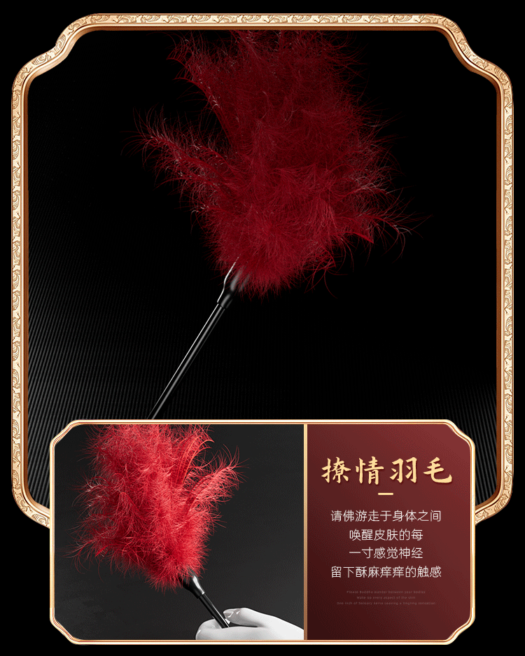 【3M12】 12PCS Set